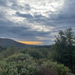 Meet your Posher, Cody